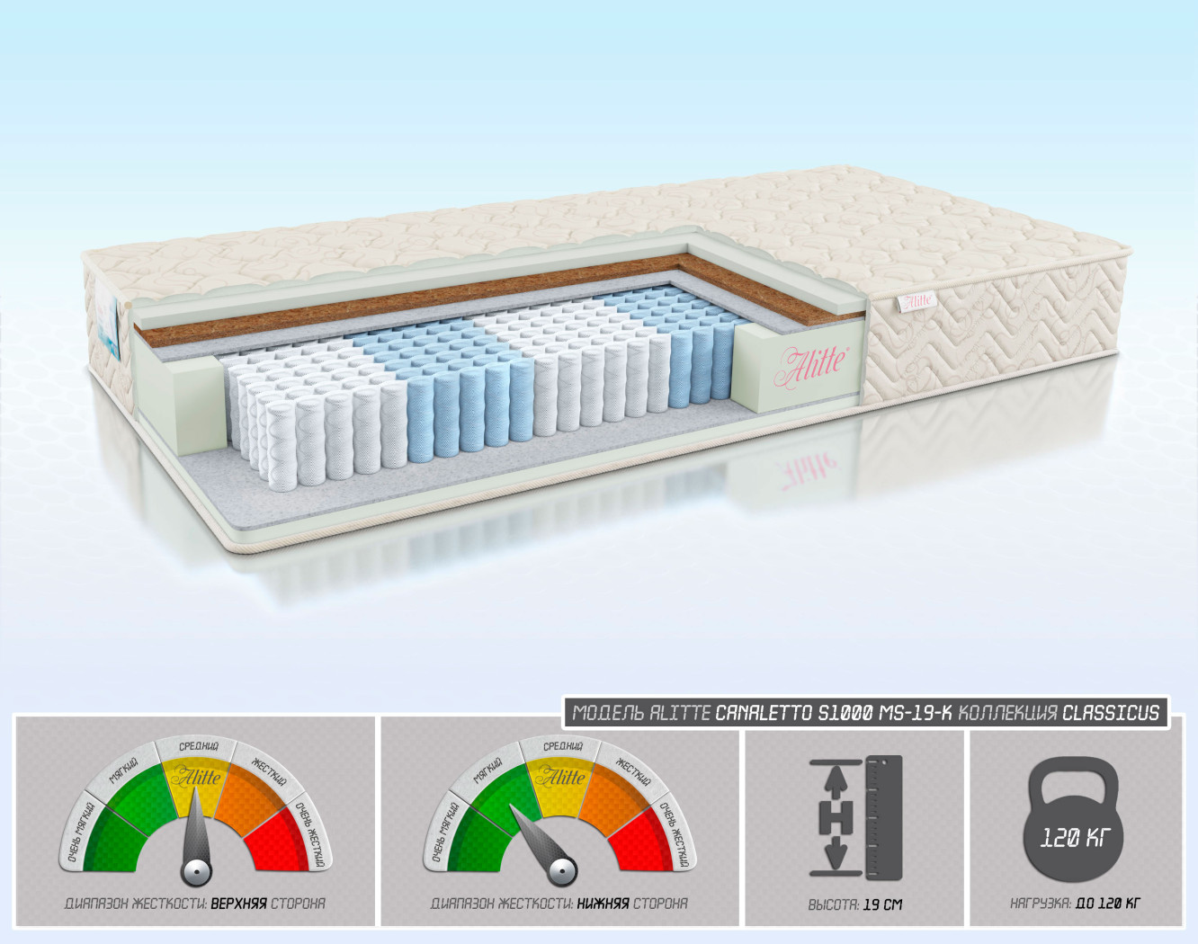 Canaletto S1000 MS-19-K