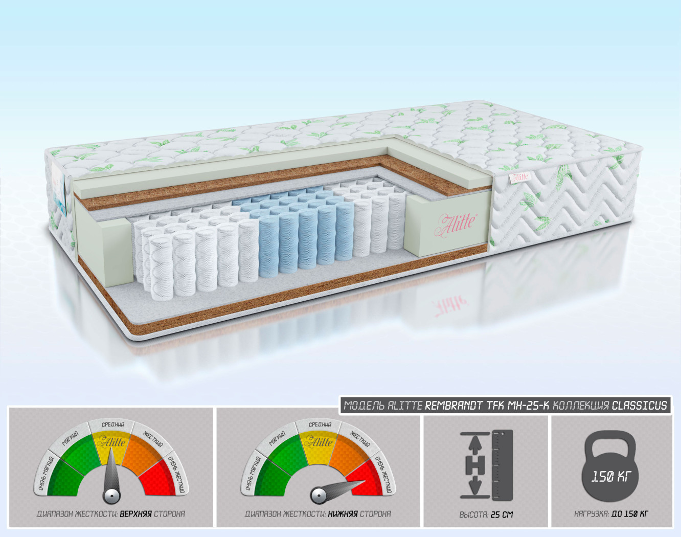 Rembrandt TFK MH-25-K
