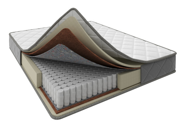 Татами Нэко