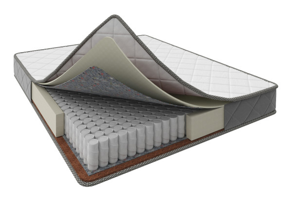 Татами Самурай