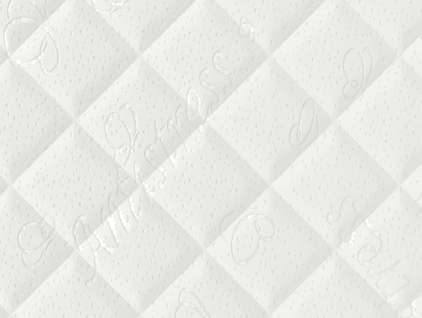 Татами Сёгун